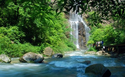 Private 1-Day Tour of Glass Bridge and Yellow Dragon Cave
