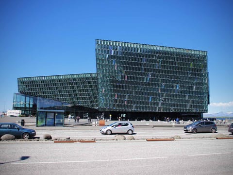 Private Reykjavík City Tour, photo 4