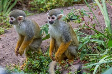 Private Cape Town City Tour table Mountain with wine tasting