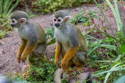 Private Cape Town City Tour table Mountain with wine tasting