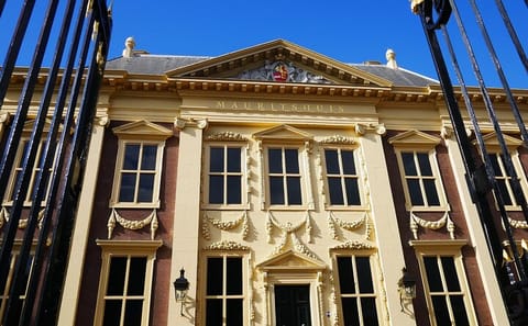 Cultural Walking Tour of Royal Palaces and Landmarks in The Hague