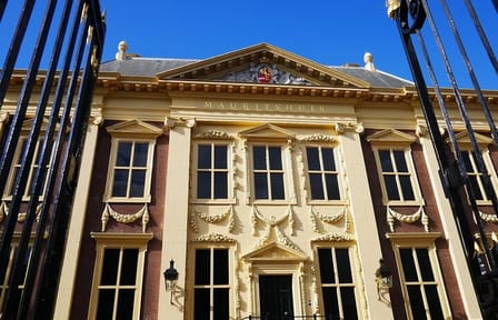 Cultural Walking Tour of Royal Palaces and Landmarks in The Hague