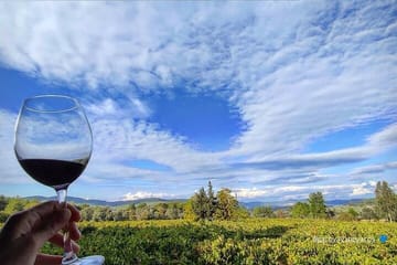 Culinary Tour and Wine Tasting in Etrim Village, Bodrum