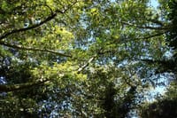 Explore the Hidden Beauty of Richtis Gorge on a Private Tour 7