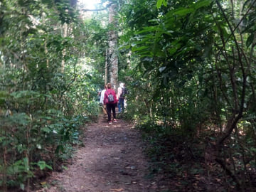 Wildlife in Ngezi Forest Reserve
