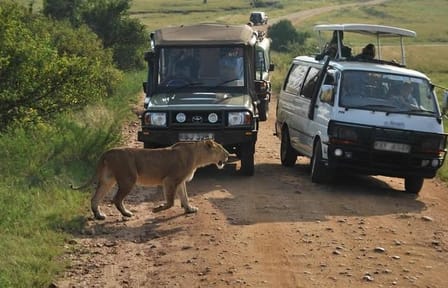 Nairobi National Museum, Park, and Giraffe Center Tour