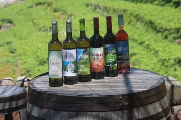 ATV Tour and Wine Tasting in Madeira's Scenic Landscapes