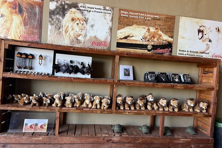 Giraffe Encounter and Lion Park with Wine Tasting in Stellenbosch