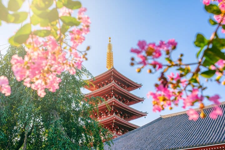 Tokyo 8 Hour Senso-ji & Tsukiji Outer Market & Ginza Private Tour