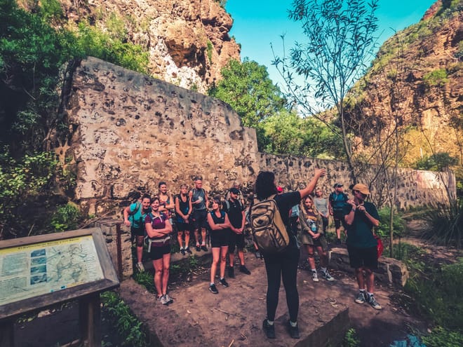 The Rainforest Tour - Small Group Trip with Tasting photo 6