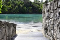  Sea Lion Discovery at Cozumel  7