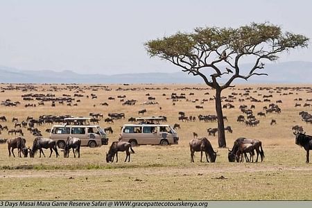 Masai Mara Luxury Safari Adventure: Game Drives & Scenic Views