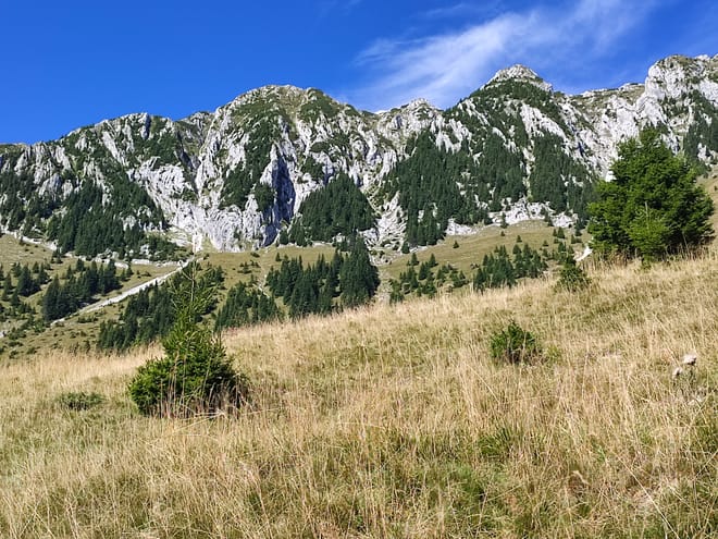 1 day hike to Piatra Craiului's highest peak (2238 m) 8