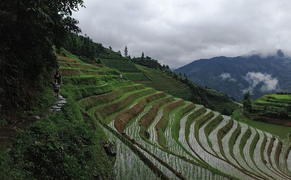 Longji Rice Terraces and Pingan Village Day Tour