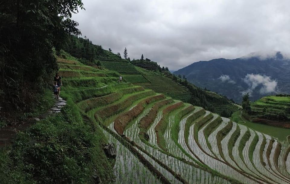 Longji Rice Terraces and Pingan Village Day Tour
