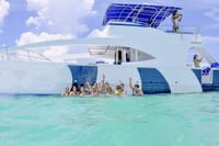 Punta Cana Private Party Boat and Snorkeling Adventure 2