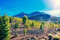 Teide National Park Tour 3