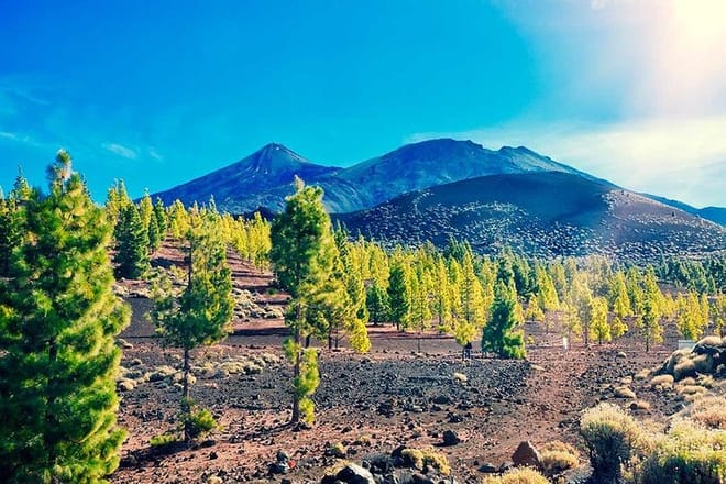 Teide National Park Tour 3
