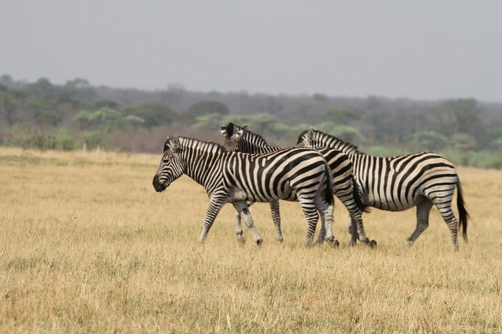 15 minutes scenic helicopter flight above Victoria Falls-Zimbabwe