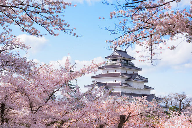 Tsuruga Private Vehicle Service with Restaurant Reservation