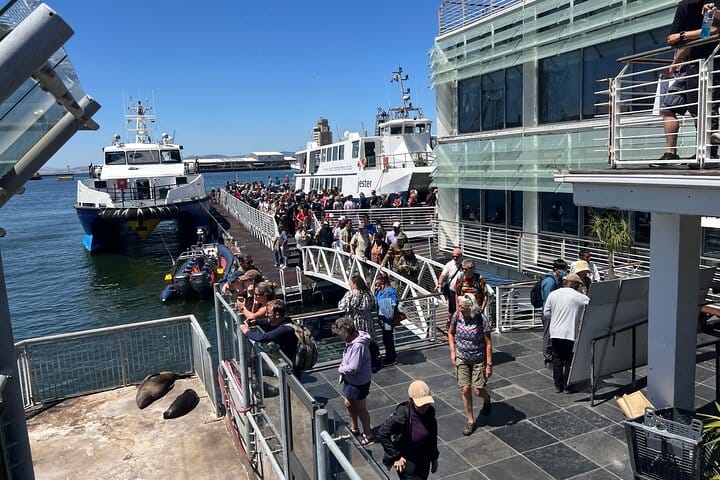Robben Island Half Day Tour With Pre Booked Ticket from Cape Town