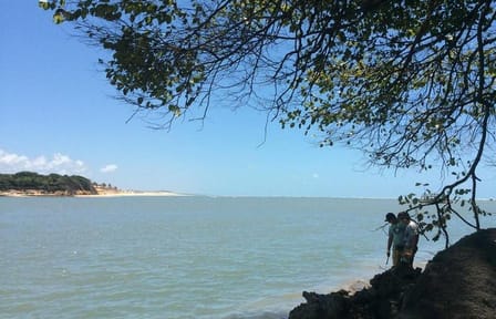Sailing Tour of Guaraíras Lagoon in Tibau do Sul, Brazil