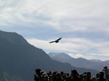 Full Day Colca Canyon Tour from Arequipa with Cultural Stops