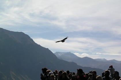 Full Day Colca Canyon Tour