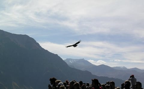 Full Day Colca Canyon Tour from Arequipa with Cultural Stops