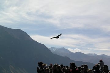 Full Day Colca Canyon Tour from Arequipa with Cultural Stops