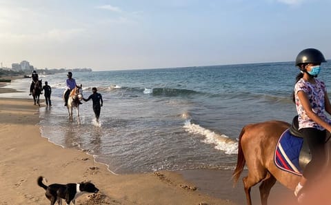 Private Horseback Riding Tour in Colombo's Coastal Nature