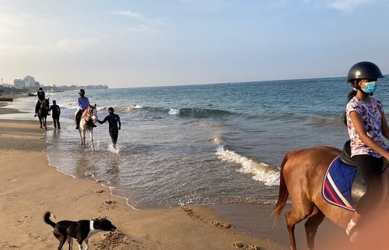 Private Horse Riding Activity in Port City