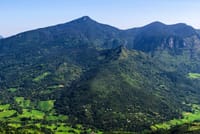 Knuckles and Riverston trekking in 1 day 6