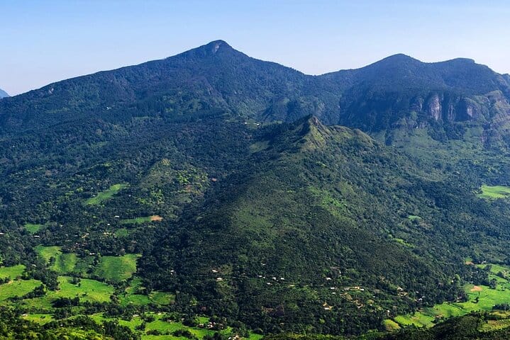 Knuckles and Riverston trekking in 1 day 6