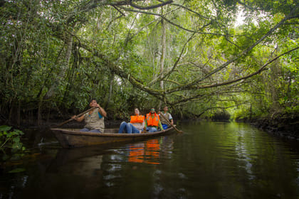 Tar-08 : Tarapoto’s Hidden Abyss – Exploring the Palestine Cave