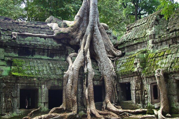 Travel in Siem Reap private tour package exploring Angkor Wat and nearby temples