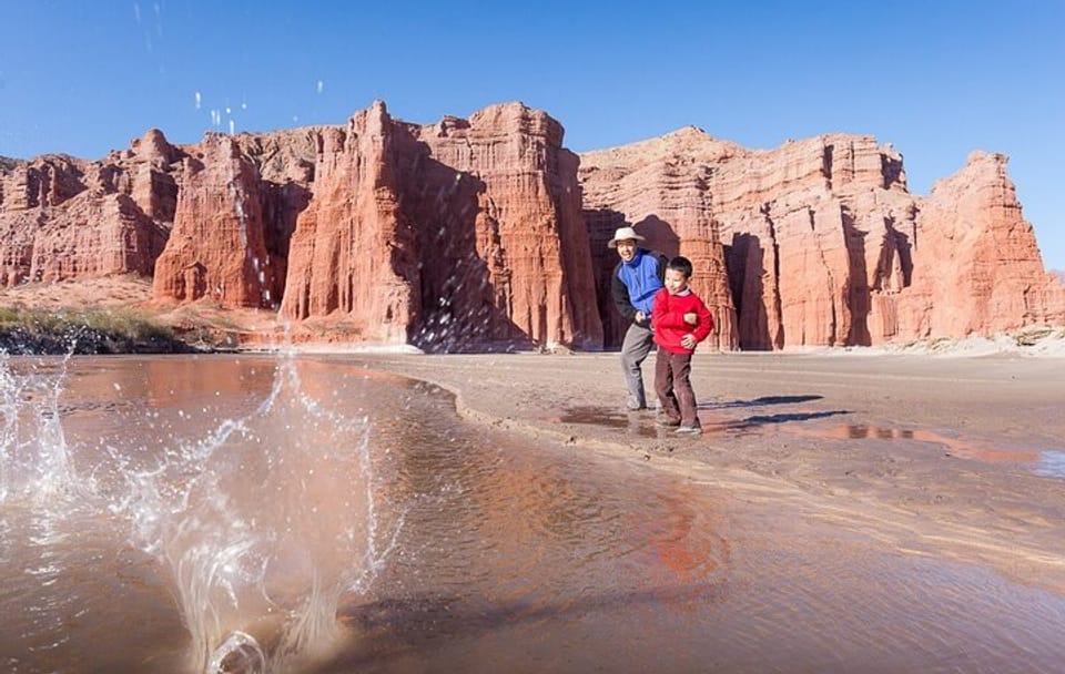 Cafayate, Vineyards and Calchaquies Valleys Tour from Salta