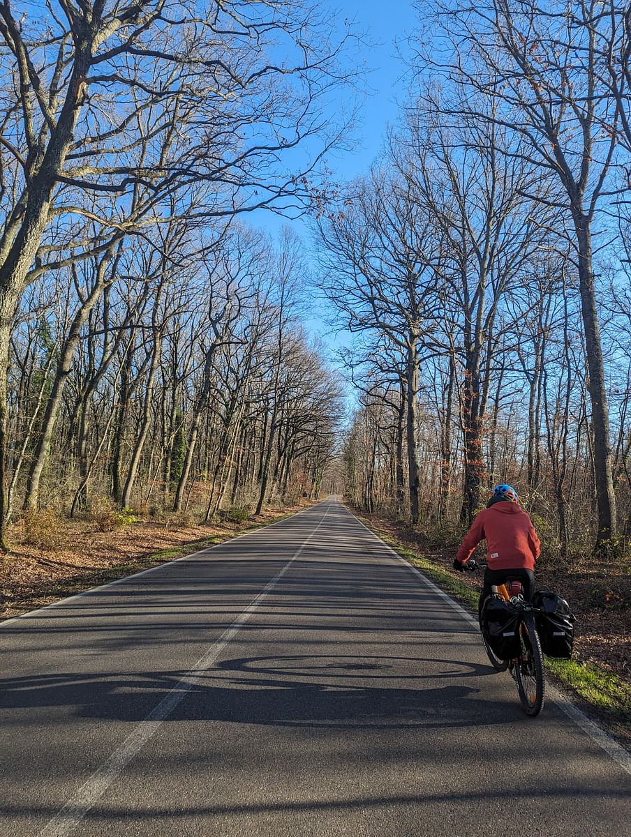 Explore Orvieto & Civita: Scenic E-Bike Adventure from Rome