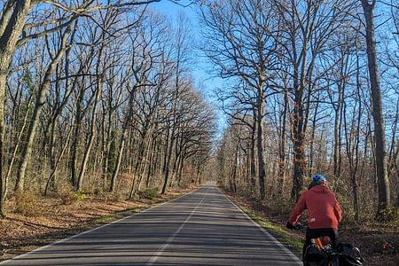 Explore Orvieto & Civita: Scenic E-Bike Adventure from Rome