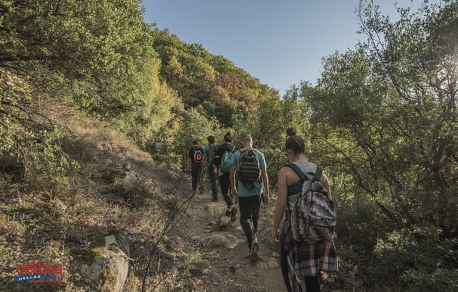 Hiking Meteora 7