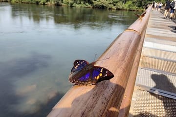 2-Day Iguazu Falls with Airfare from Buenos Aires