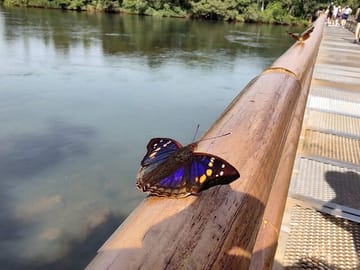 2-Day Adventure Tour of Iguazu Falls from Buenos Aires