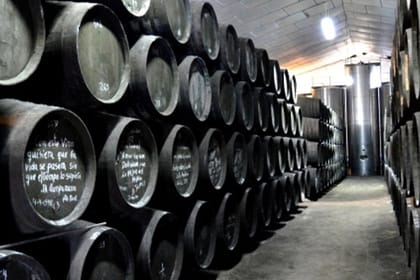 From Seville. Cadiz and Jerez private full day tour