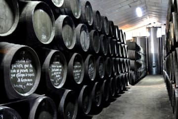 Private Full Day Tour of Cádiz and Jerez from Seville