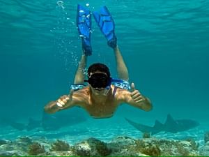 Cabeza de Toro Reserve Glass-Bottom Catamaran Cruise