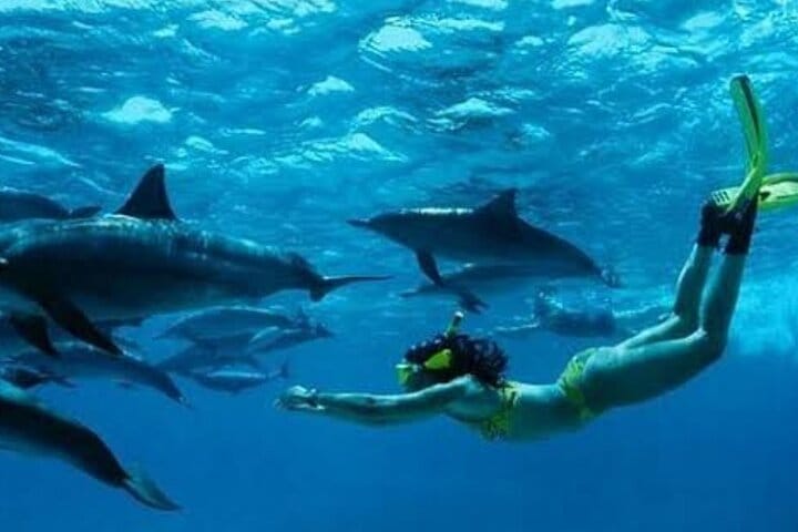 Zanzibar Salaam Cave Swimming and Feeding Sea Turtle in Kizimkazi