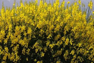 Small Group Tour to Authentic Villages Lasithi Plateau&Olive Mill