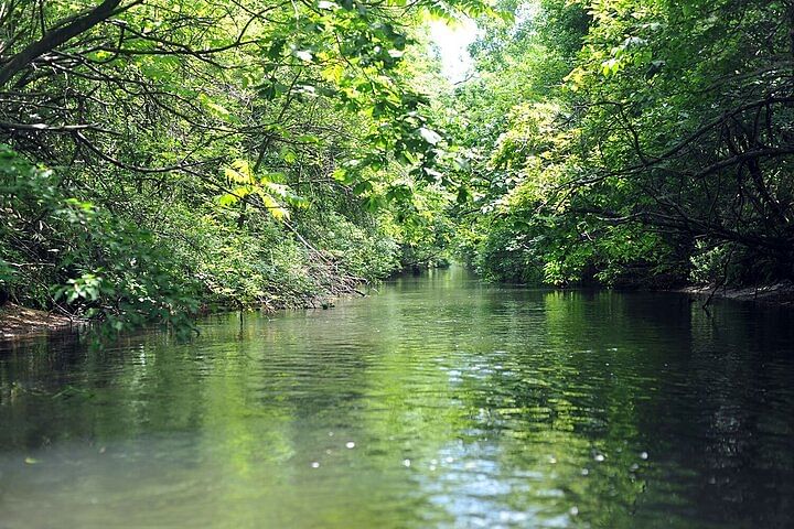 2 Hour Canoe on the Bibi River