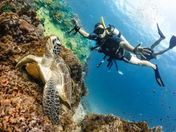 Tauchausflug in Hurghada