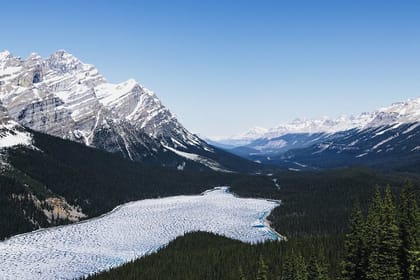 Ice Bubbles at Abraham Lake/Sunwapta Falls